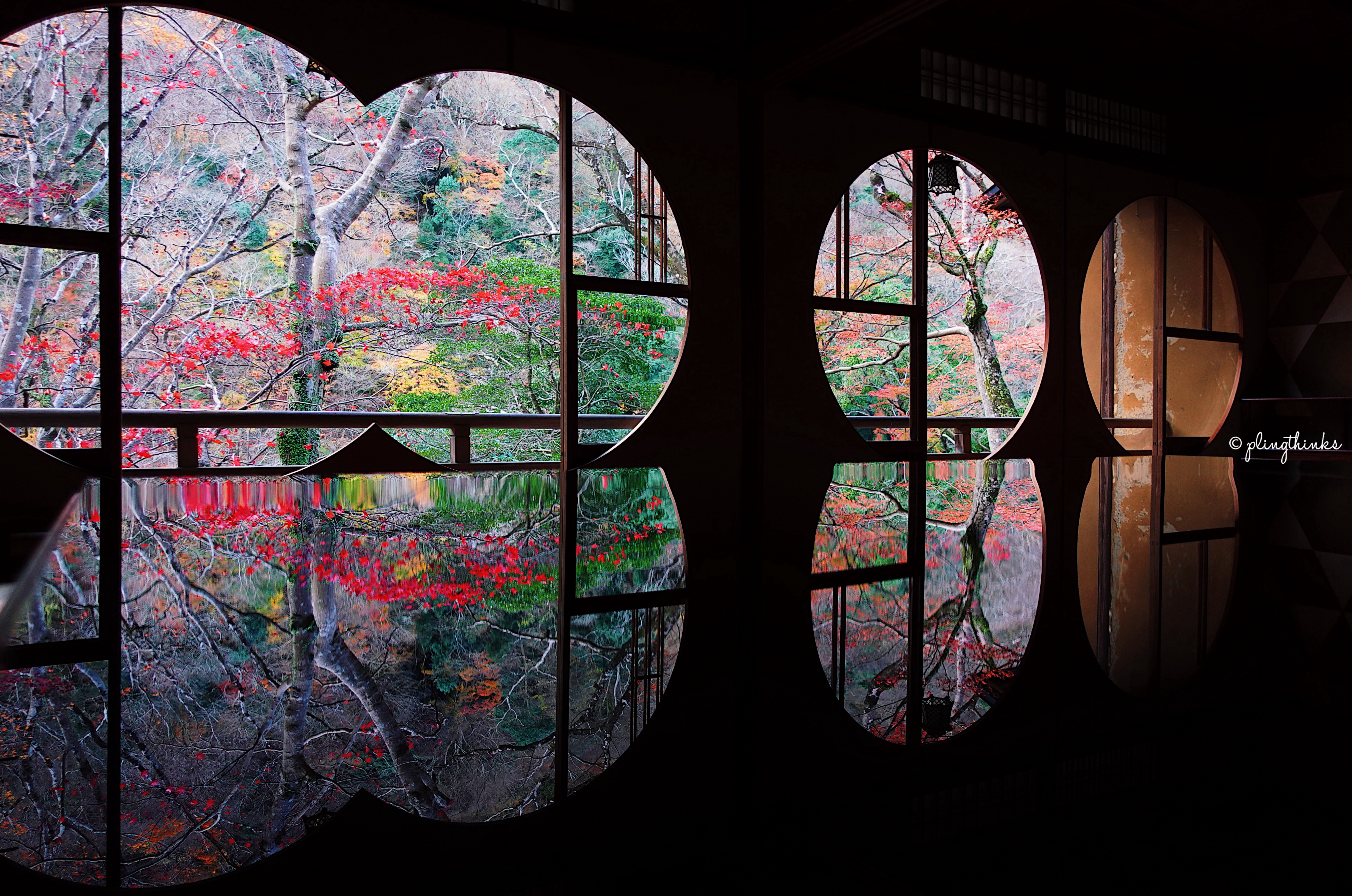 Arashiyama Gallery Near Katsura River - Round Windows Autumn Vibes