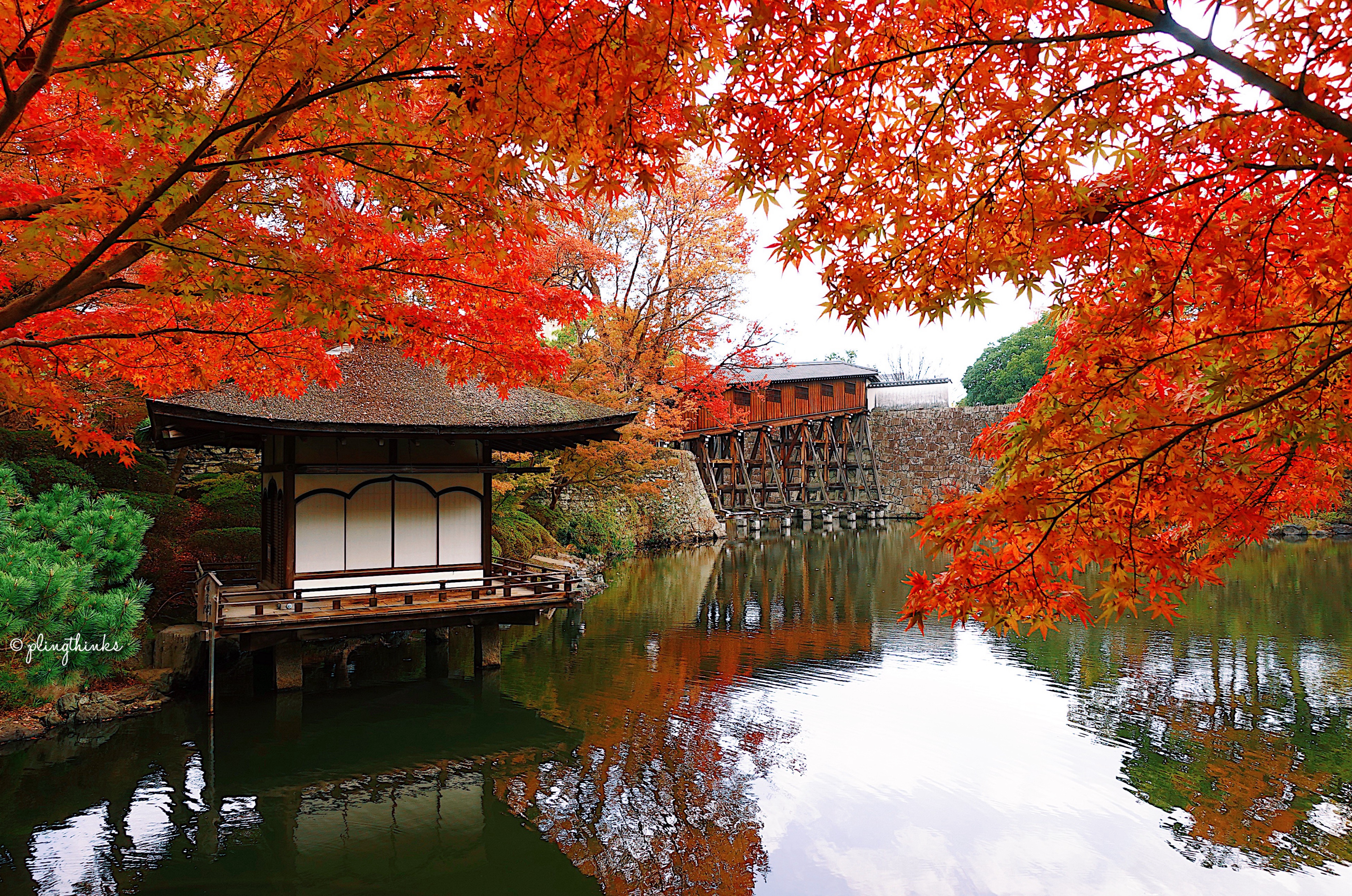 Wakayama What To See and Do - Wakayama Castle Momijidani Nishinomaru Teien Garden